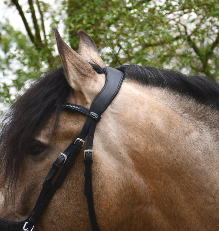 Heritage Anatomical Flash Bridle - Top Of The Clops