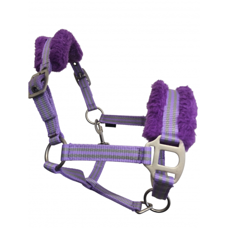 Sheldon Mini Shetland and Shetland Headcollar