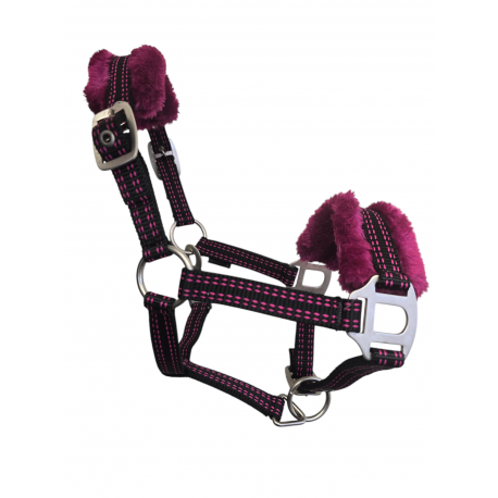 Sheldon Mini Shetland and Shetland Headcollar