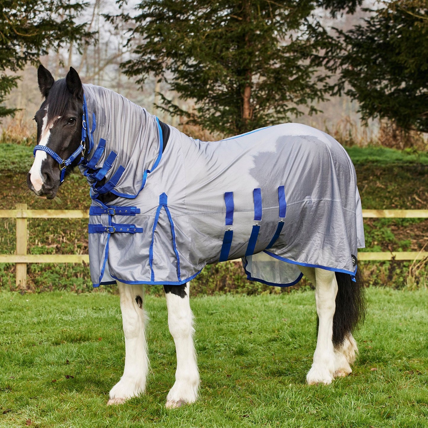 Firefoot Fly Rug Fixed Neck Grey/Blue