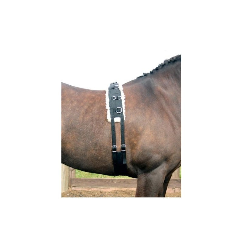 Sheldon Lunging Roller