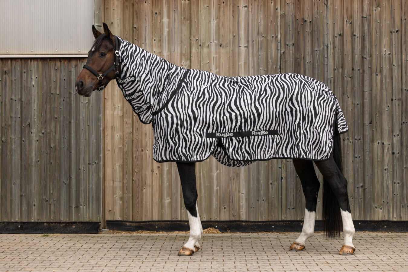 Covalliero RugBe Zebra Fly Rug