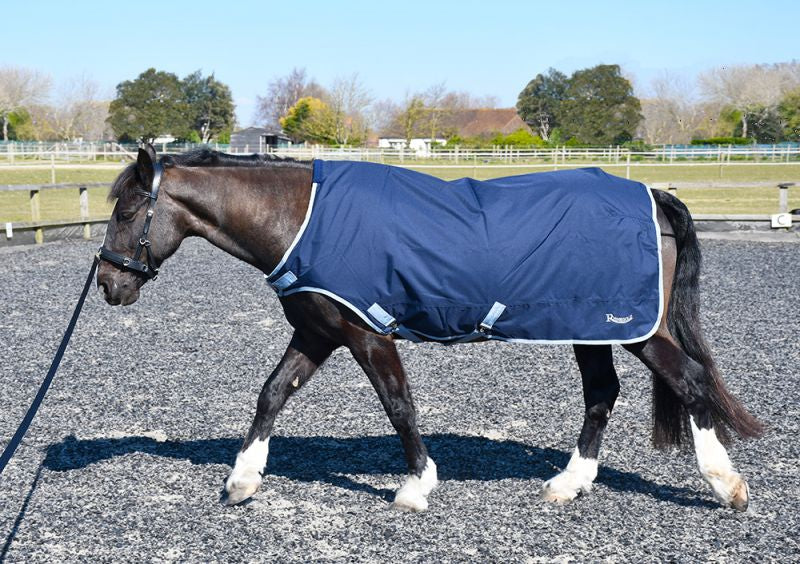 Rhinegold Equestrian | Barnstaple Equestrian Supplies