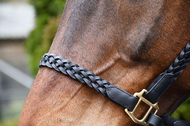 Rhinegold Lazio Plaited Leather Headcollar With Matching Leather Lead