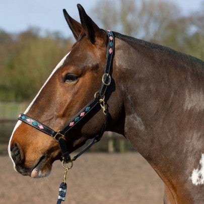 Gallop Diamond Padded Leather Headcollar
