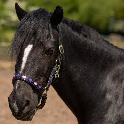 Gallop Diamond Padded Leather Headcollar