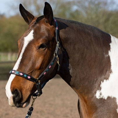 Gallop Diamond Padded Leather Headcollar