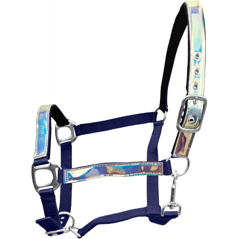 Holographic Headcollar