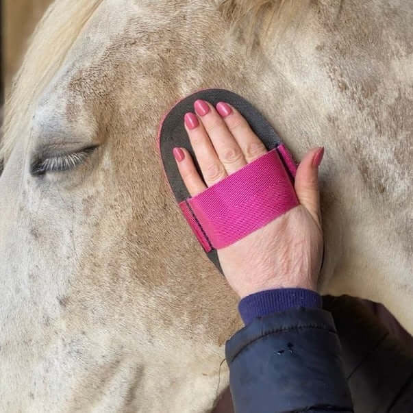 Smart Grooming Super Groomer