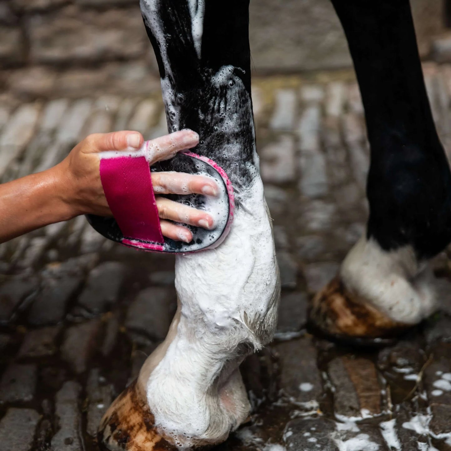 Smart Grooming Super Groomer