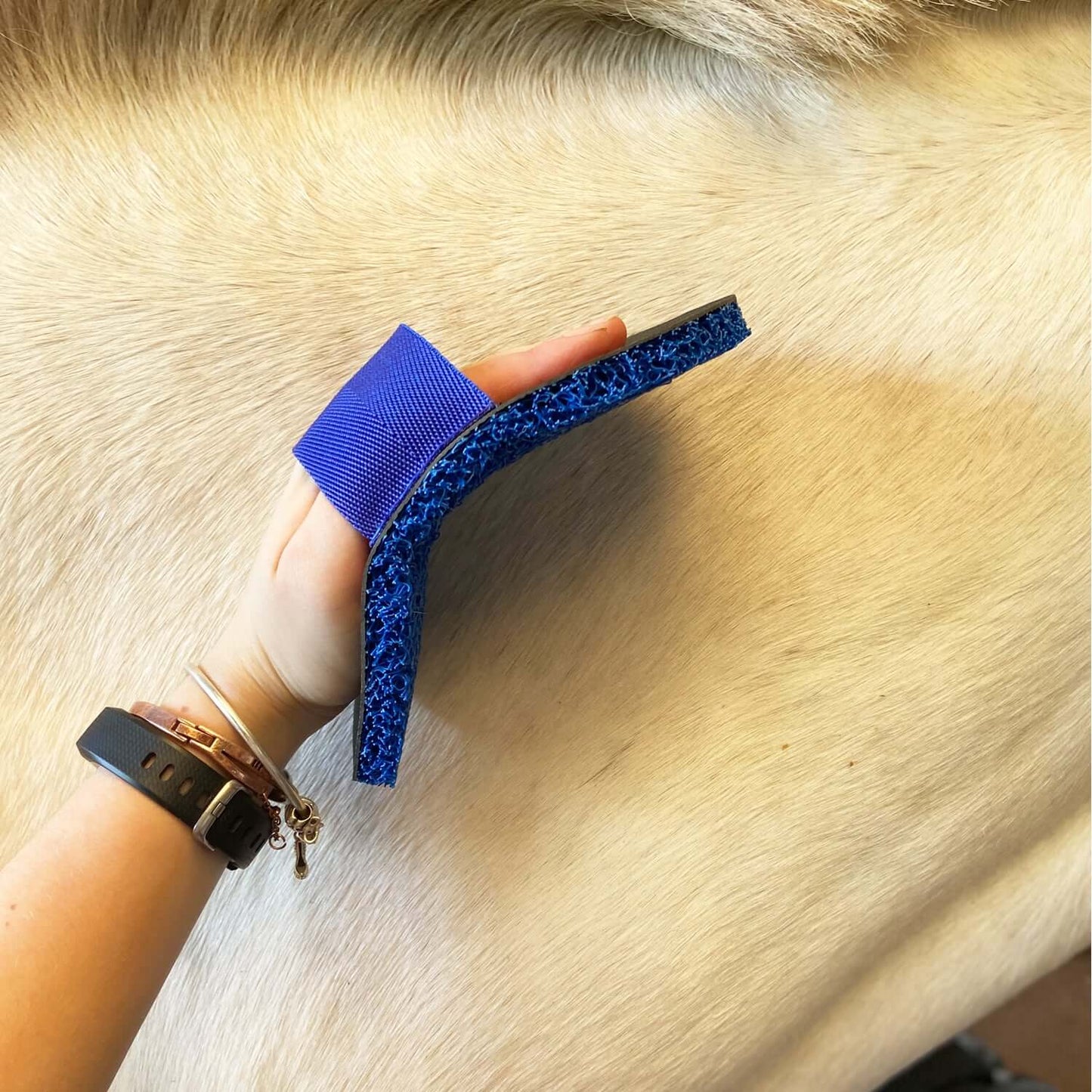 Smart Grooming Super Groomer