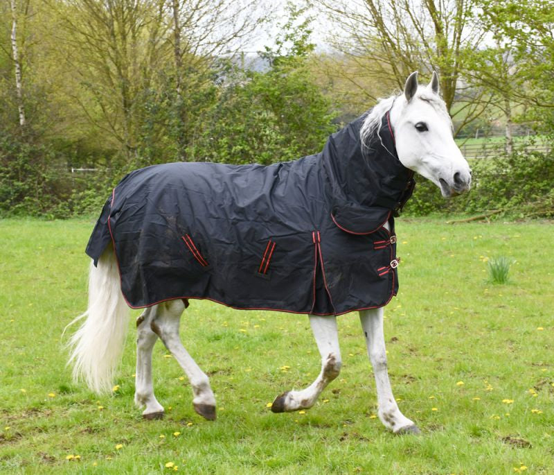 Rhinegold Aspen Heavy Weight Combo 350G Turnout - Top Of The Clops