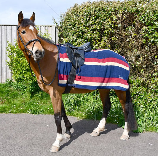 Rhinegold Fleece Stripe Exercise Sheet - Top Of The Clops