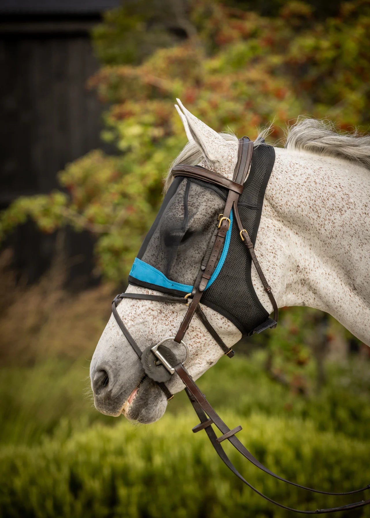 Woof Wear UV Ride On Fly Mask