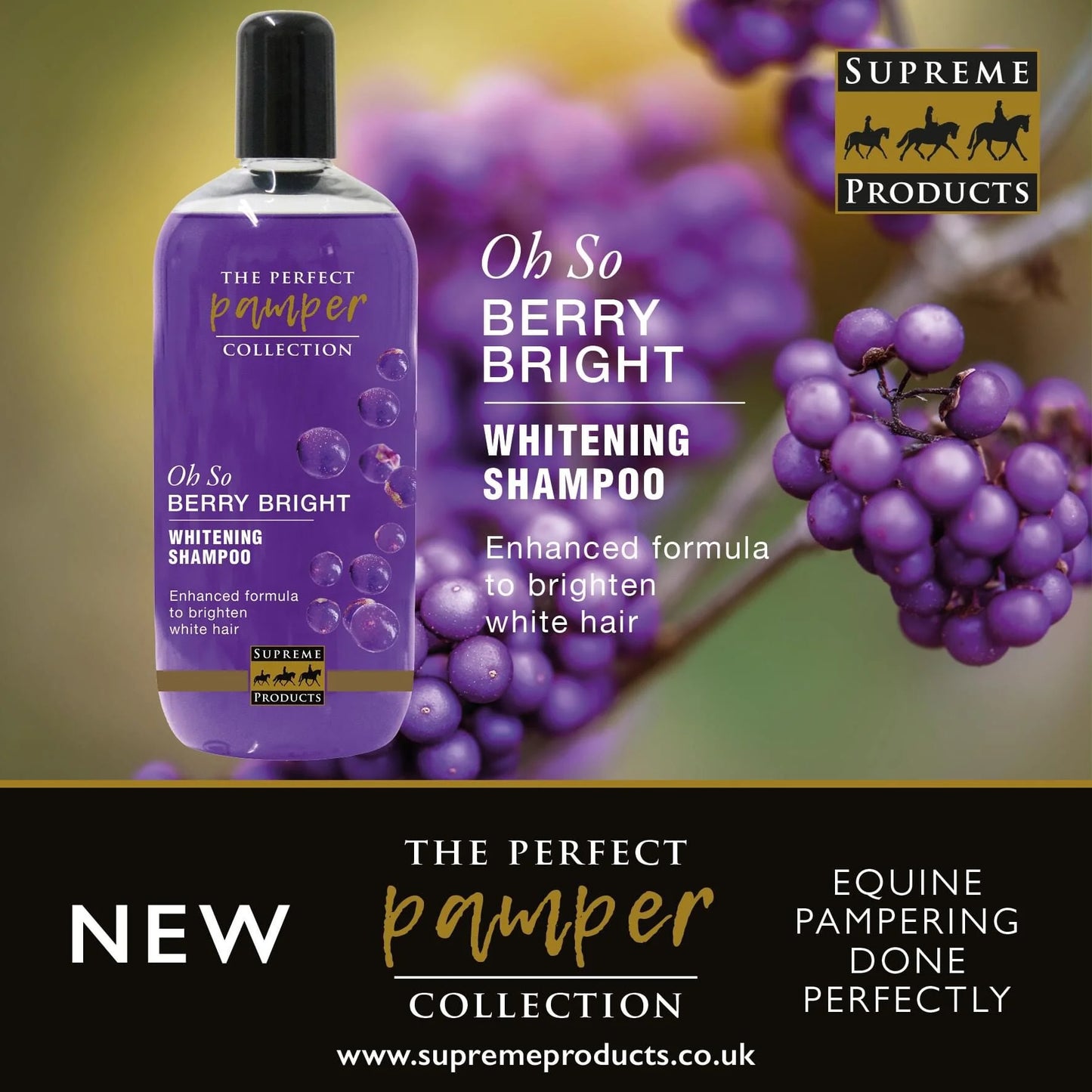 Supreme Products Oh So Berry Bright Shampoo