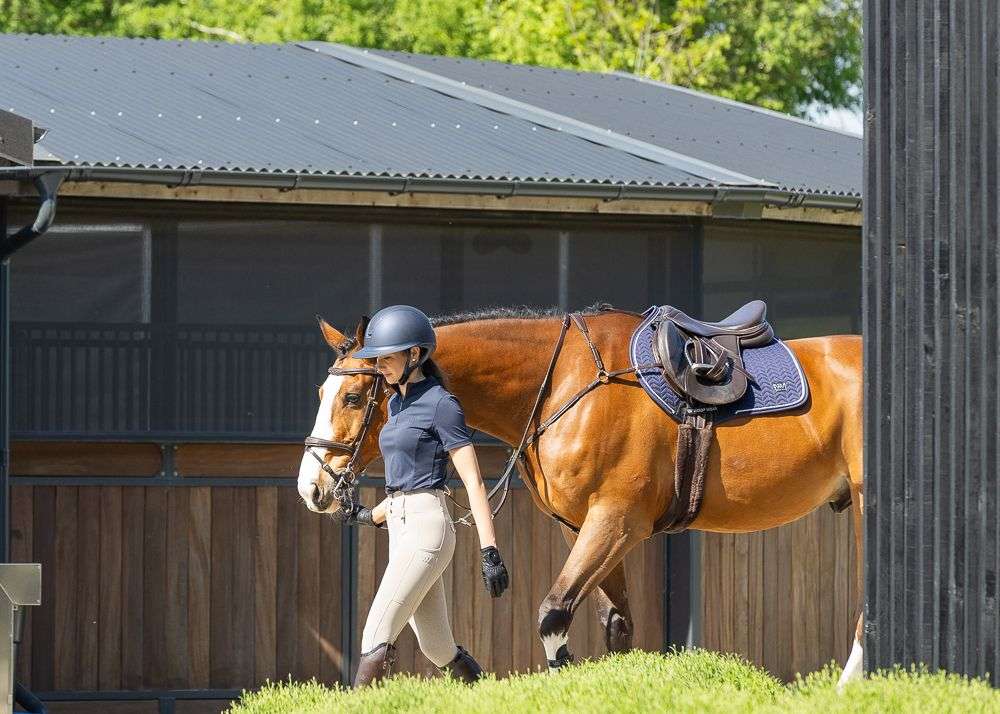 Woof Wear Herringbone Close Contact Saddle Pad
