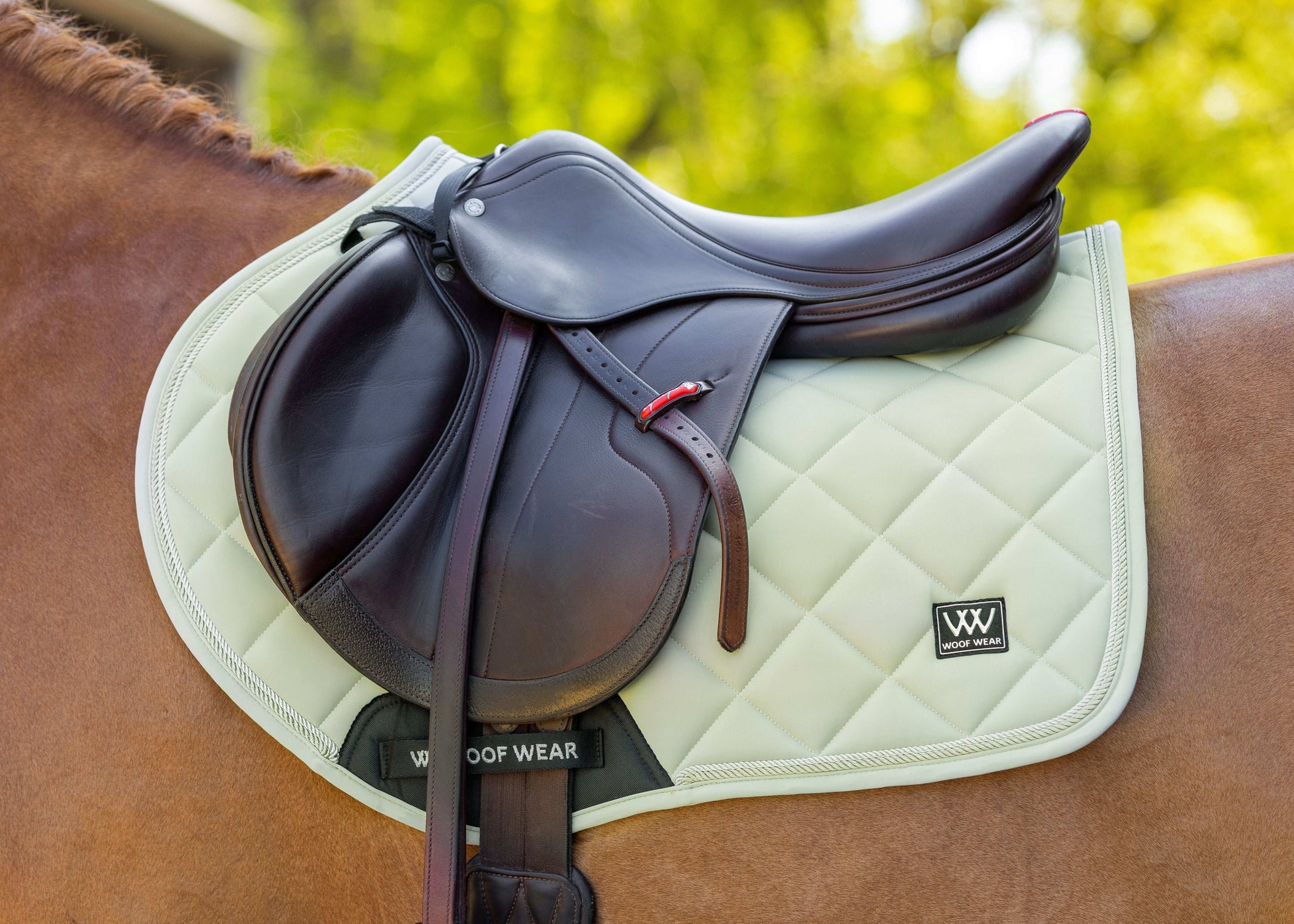 Woof Wear Vision Aura Close Contact Saddle Pad