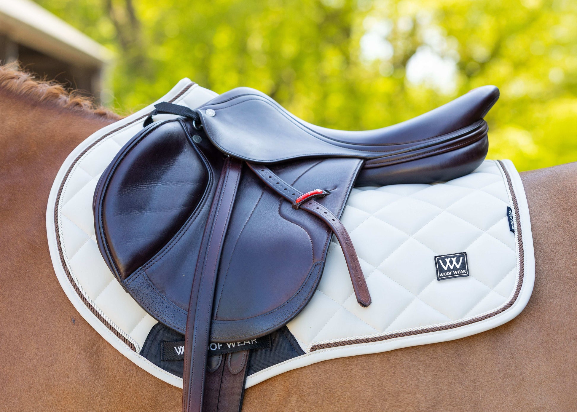 Woof Wear Vision Aura Close Contact Saddle Pad