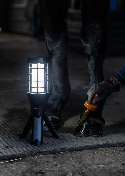 Woof Wear Tripod Lantern