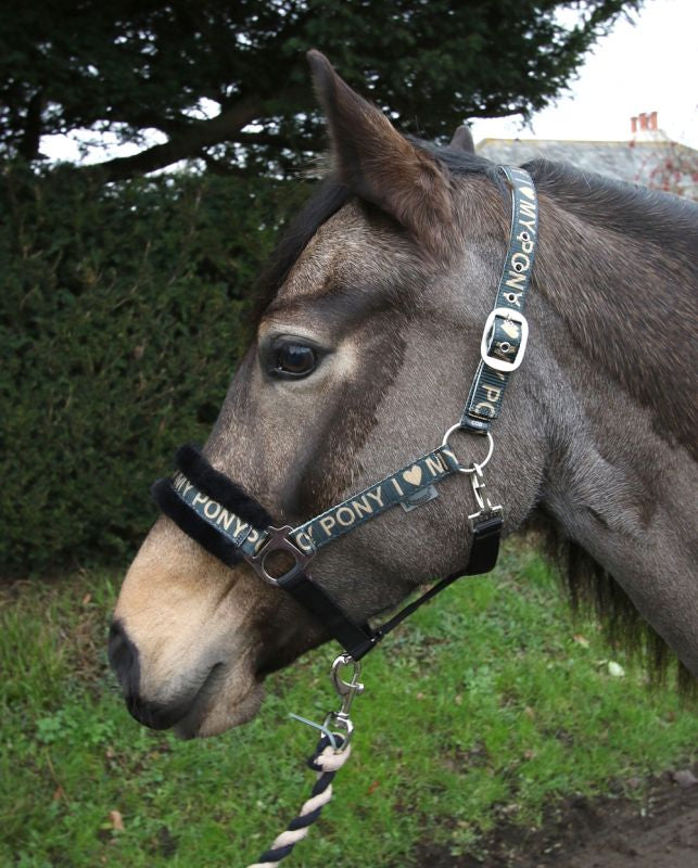 Rhinegold Love My Pony Headcollar & Lead Rope Set - Top Of The Clops