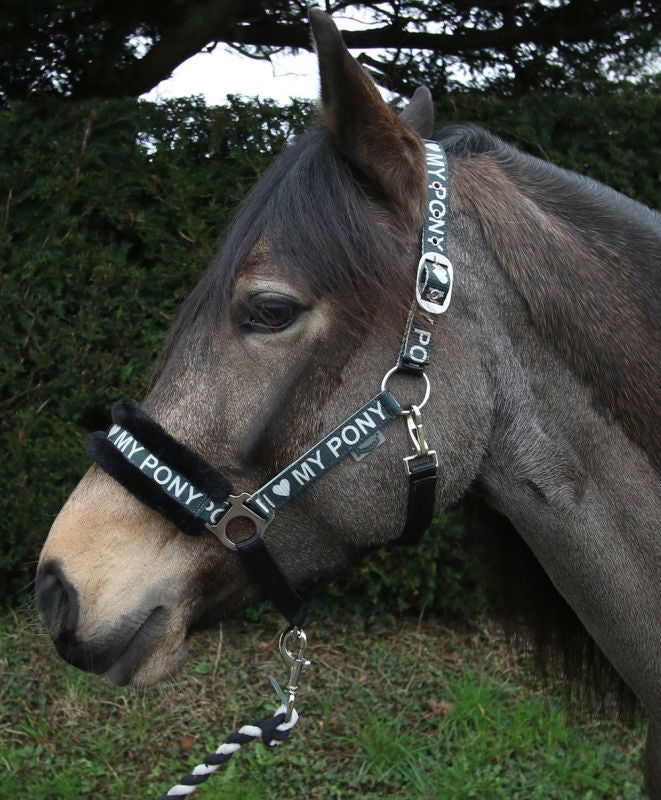 Rhinegold Love My Pony Headcollar & Lead Rope Set - Top Of The Clops