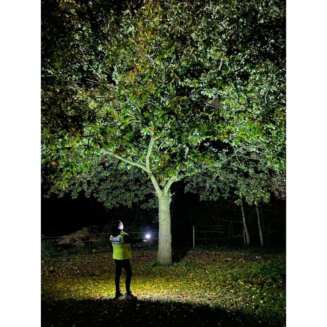 Equisafety Solar Powered LED Outdoor Light Clip