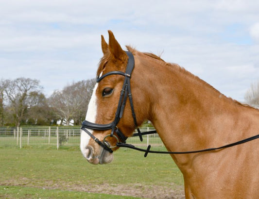 Windsor Leather Anatomical Flash Bridle - Top Of The Clops