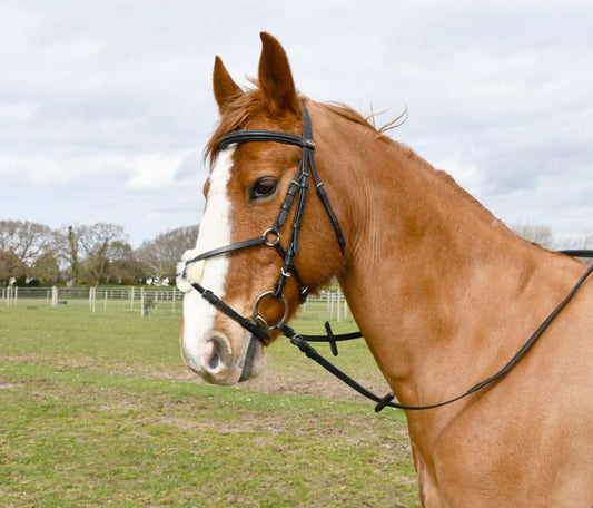 Windsor Leather Mexican Bridle - Top Of The Clops