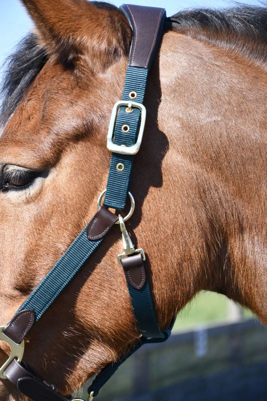 Heritage Anatomical Leather Lined Headcollar - Top Of The Clops