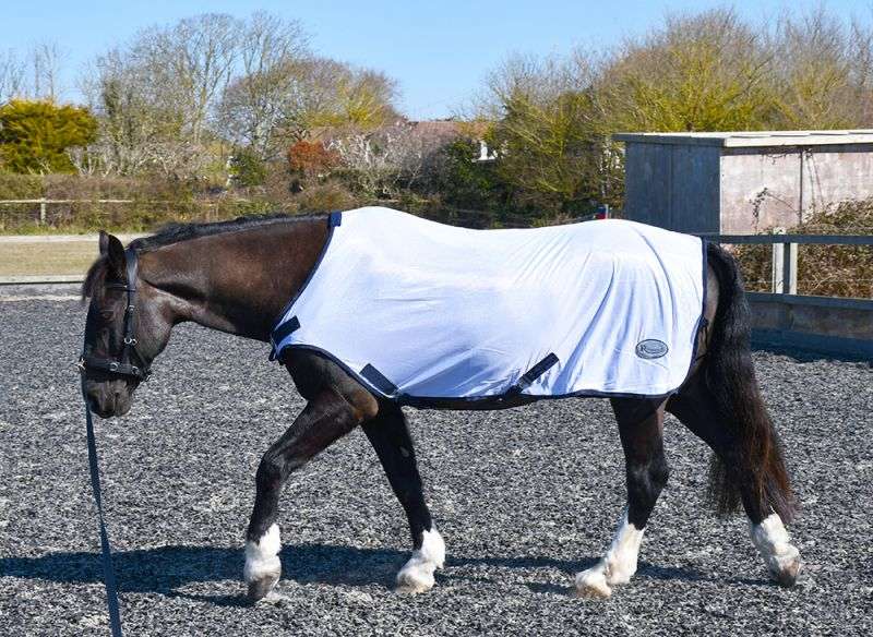 Rhinegold Rehab/ Summer Horse Walker Rug