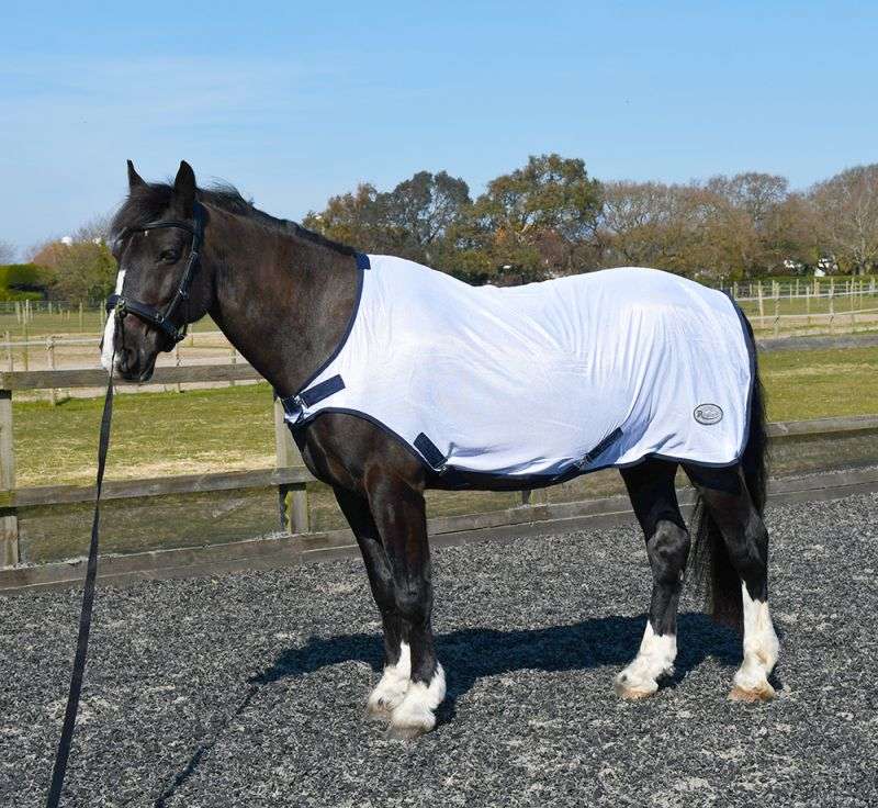 Rhinegold Rehab/ Summer Horse Walker Rug