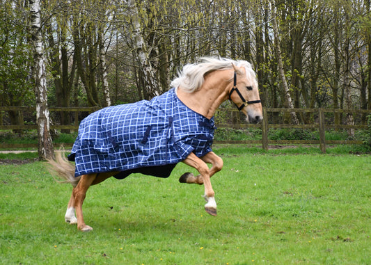 Rhinegold Atlanta Lightweight Fleece Lined Turnout Rug