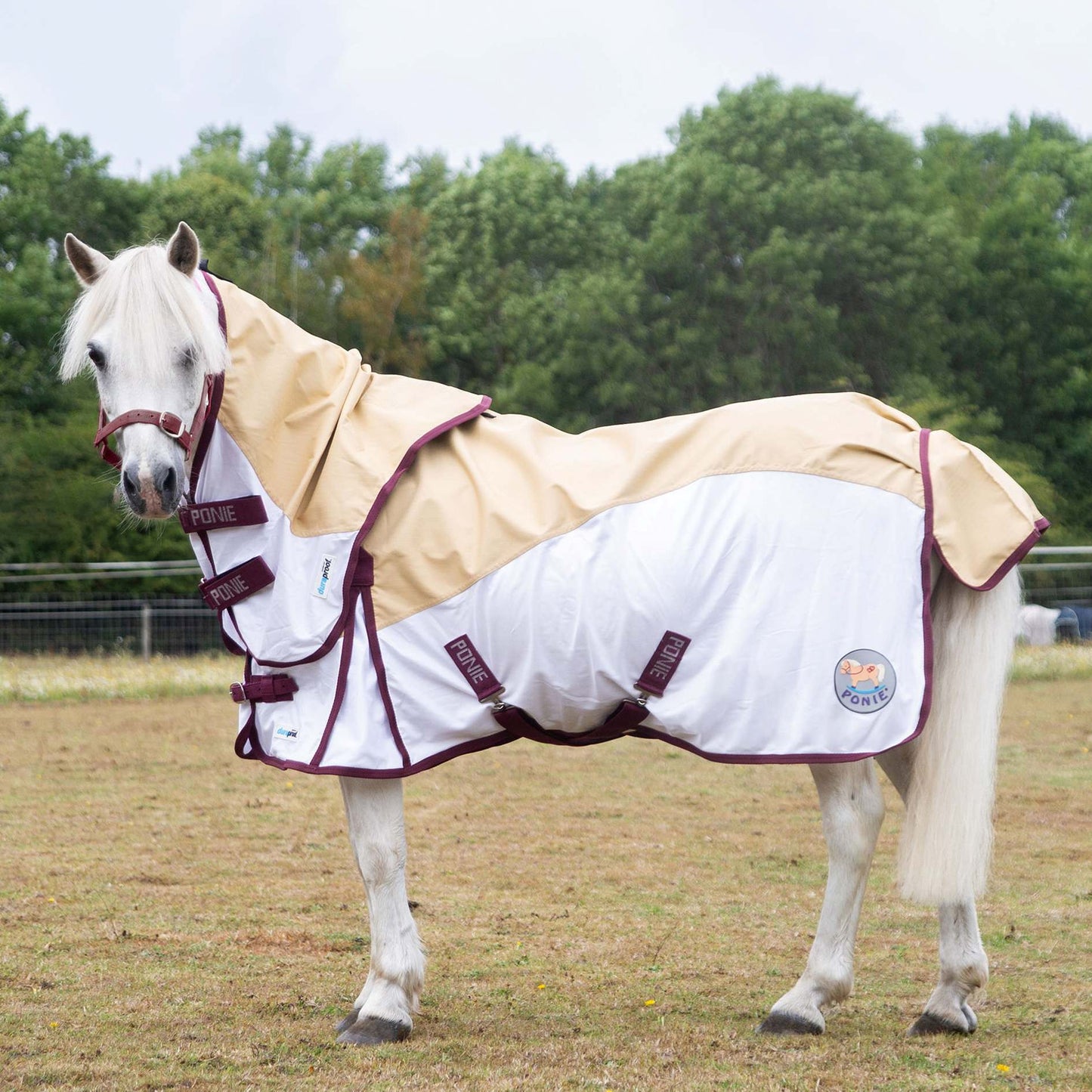 Gallop Ponie Duraproof Hybrid Dual Fly Rug