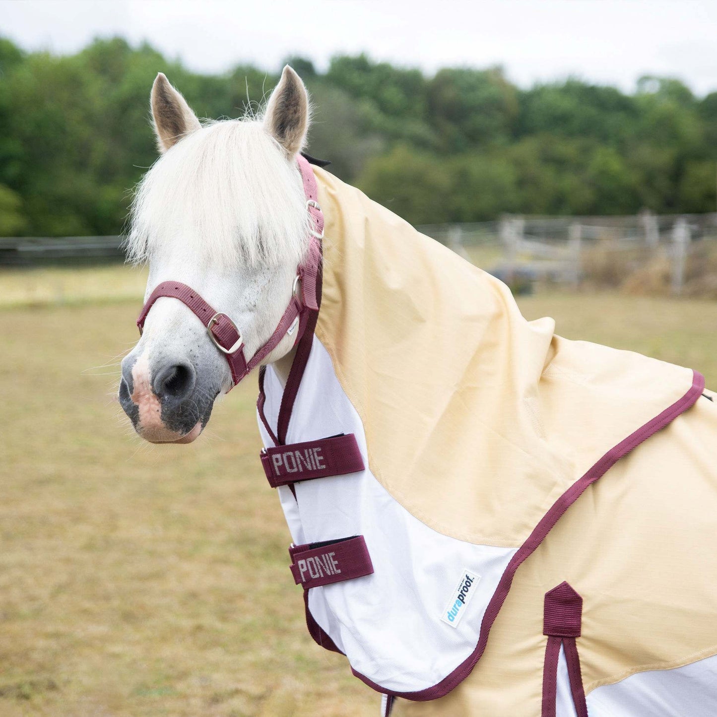 Gallop Ponie Duraproof Hybrid Dual Fly Rug