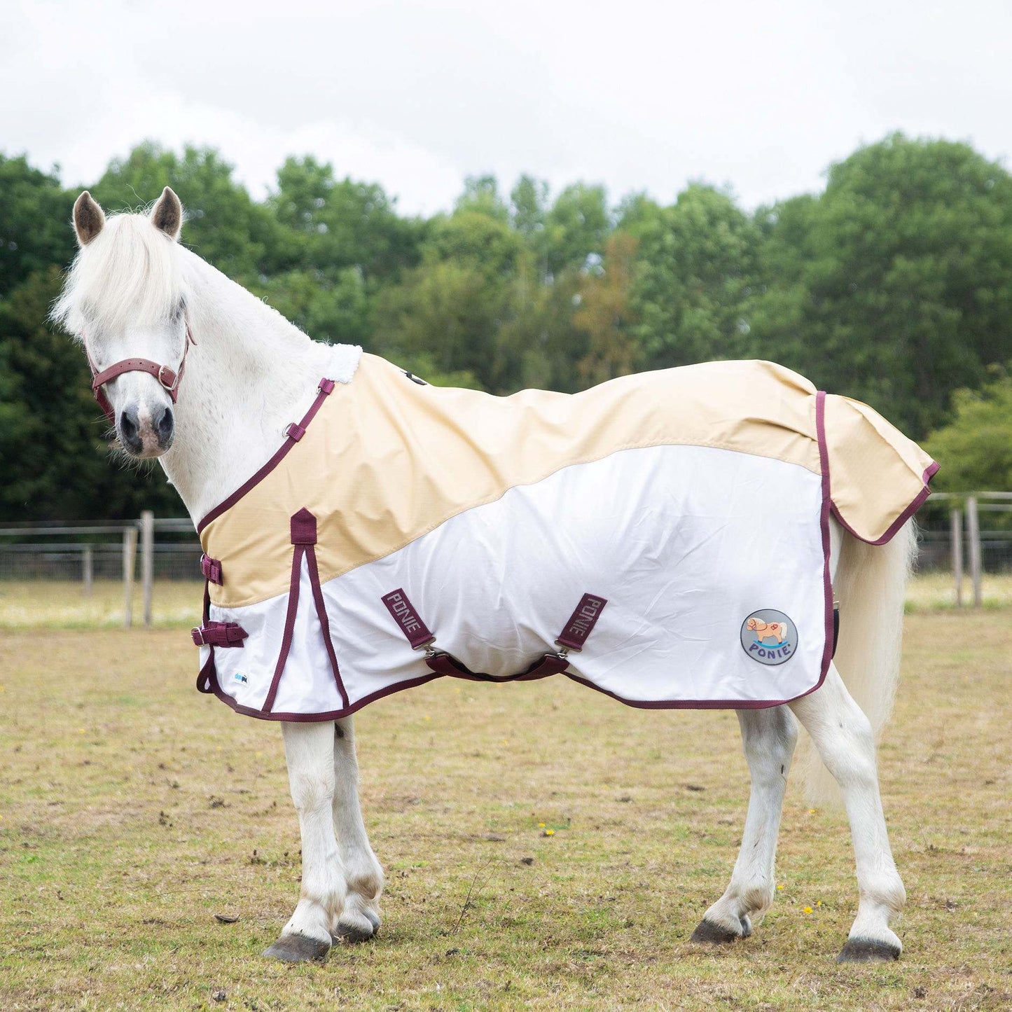 Gallop Ponie Duraproof Hybrid Dual Fly Rug
