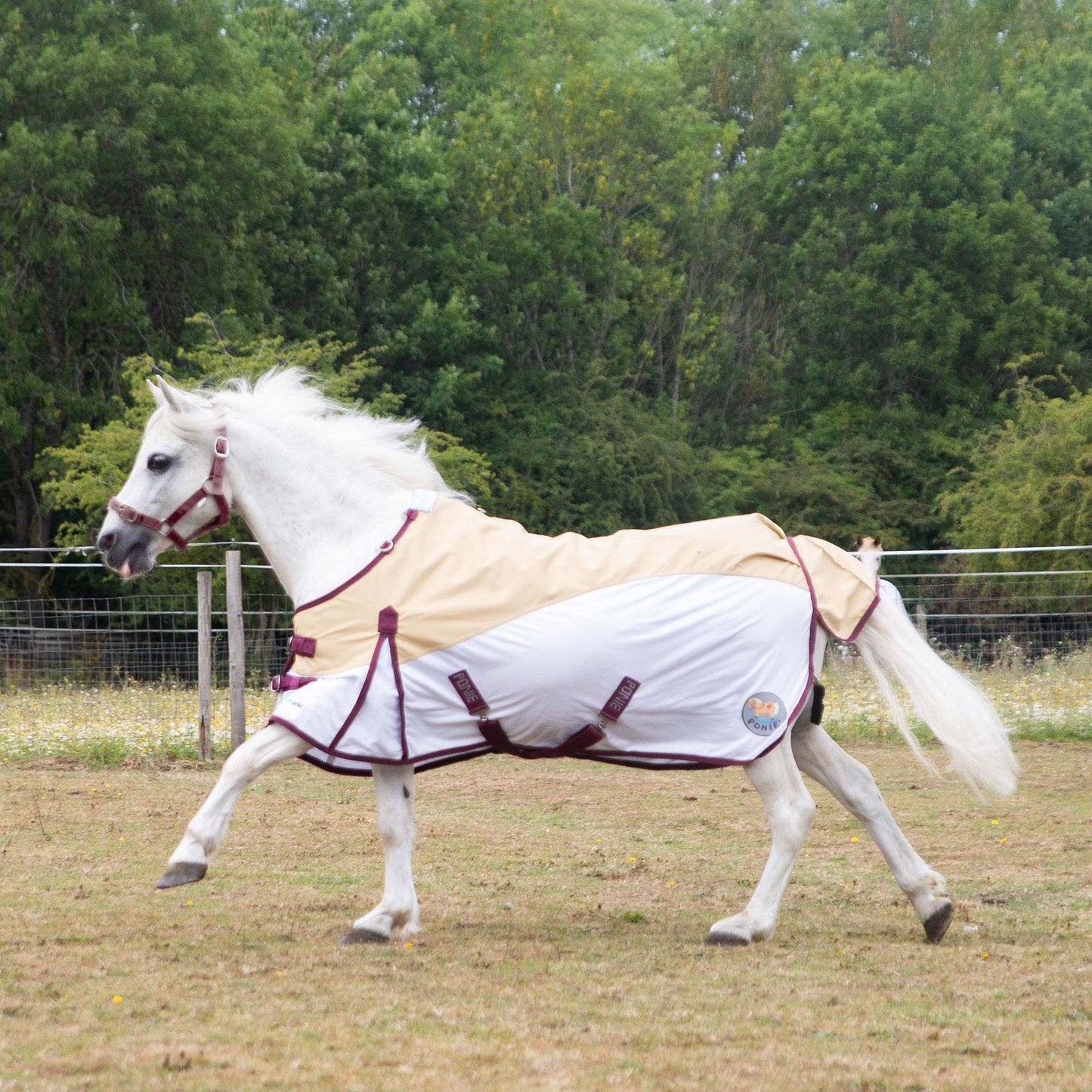 Gallop Ponie Duraproof Hybrid Dual Fly Rug