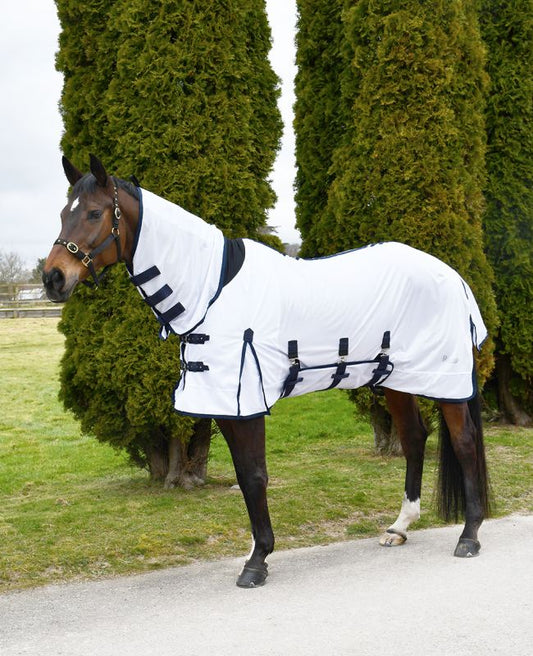 https://www.topoftheclops.co.uk/products/rhinegold-africa-combo-fly-rug