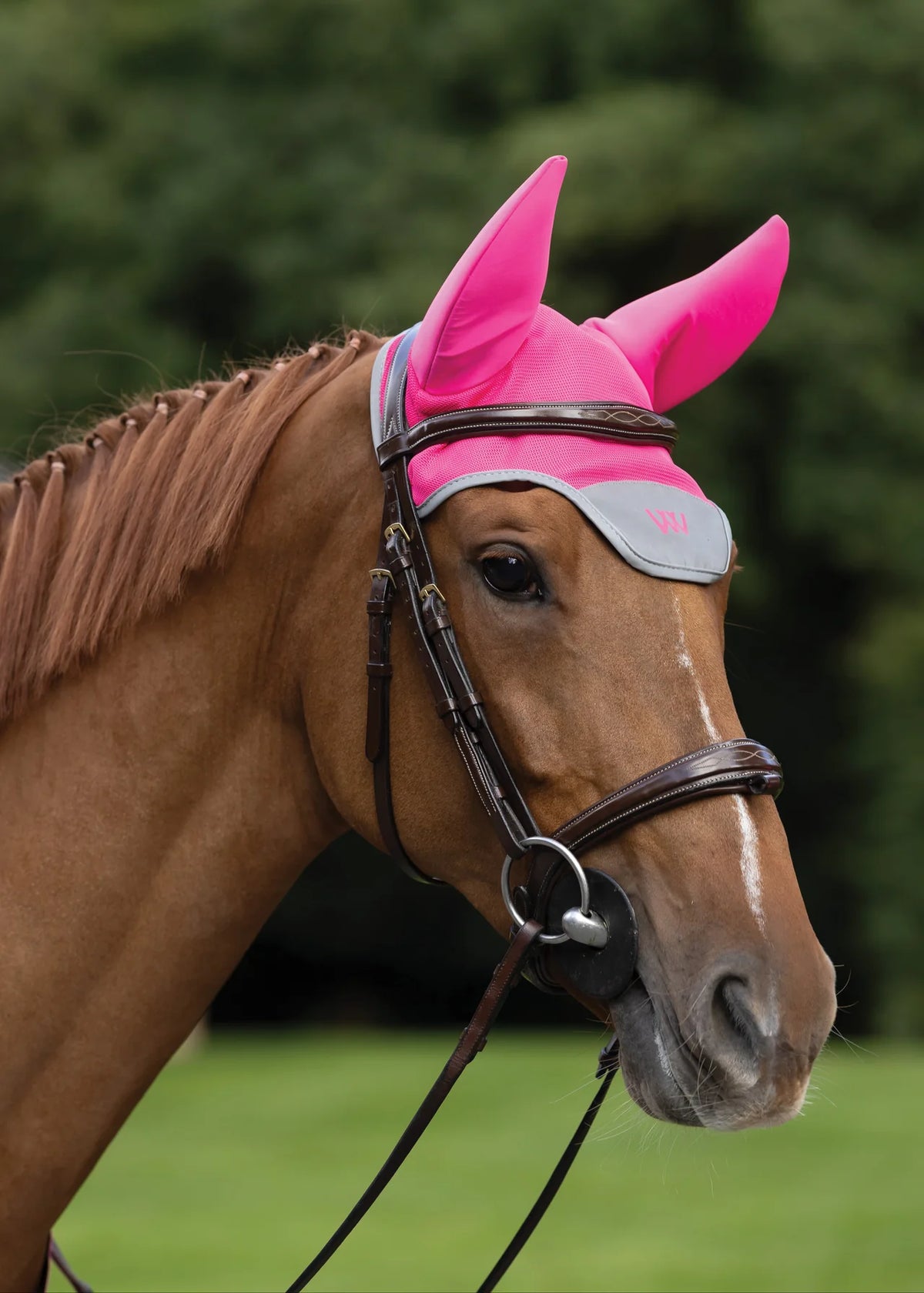 Woof Wear Noise Cancelling Hi Viz Fly Veil