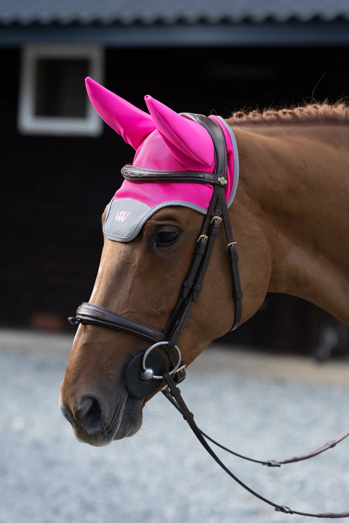 Woof Wear Noise Cancelling Hi Viz Fly Veil