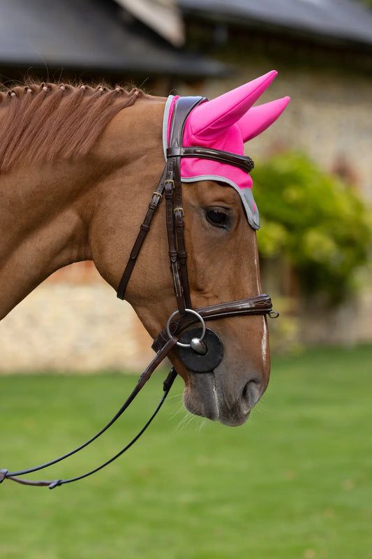 Woof Wear Noise Cancelling Hi Viz Fly Veil