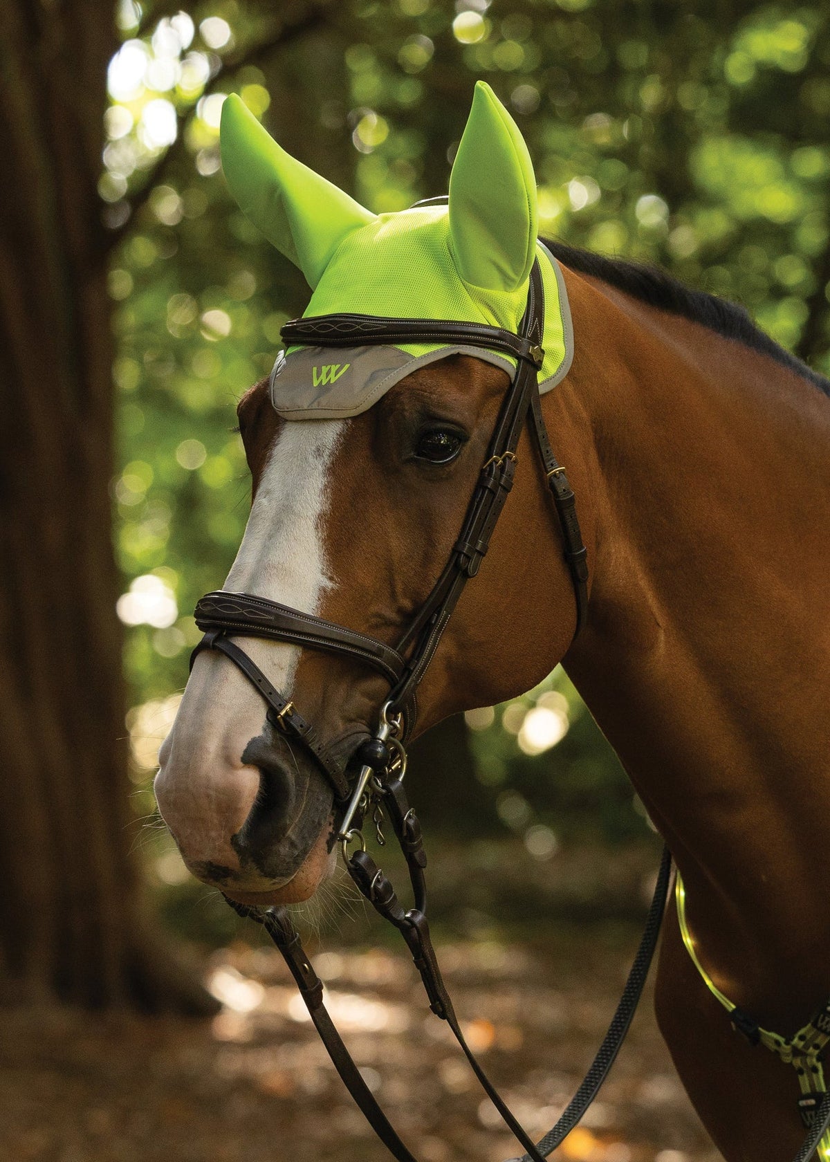 Woof Wear Noise Cancelling Hi Viz Fly Veil