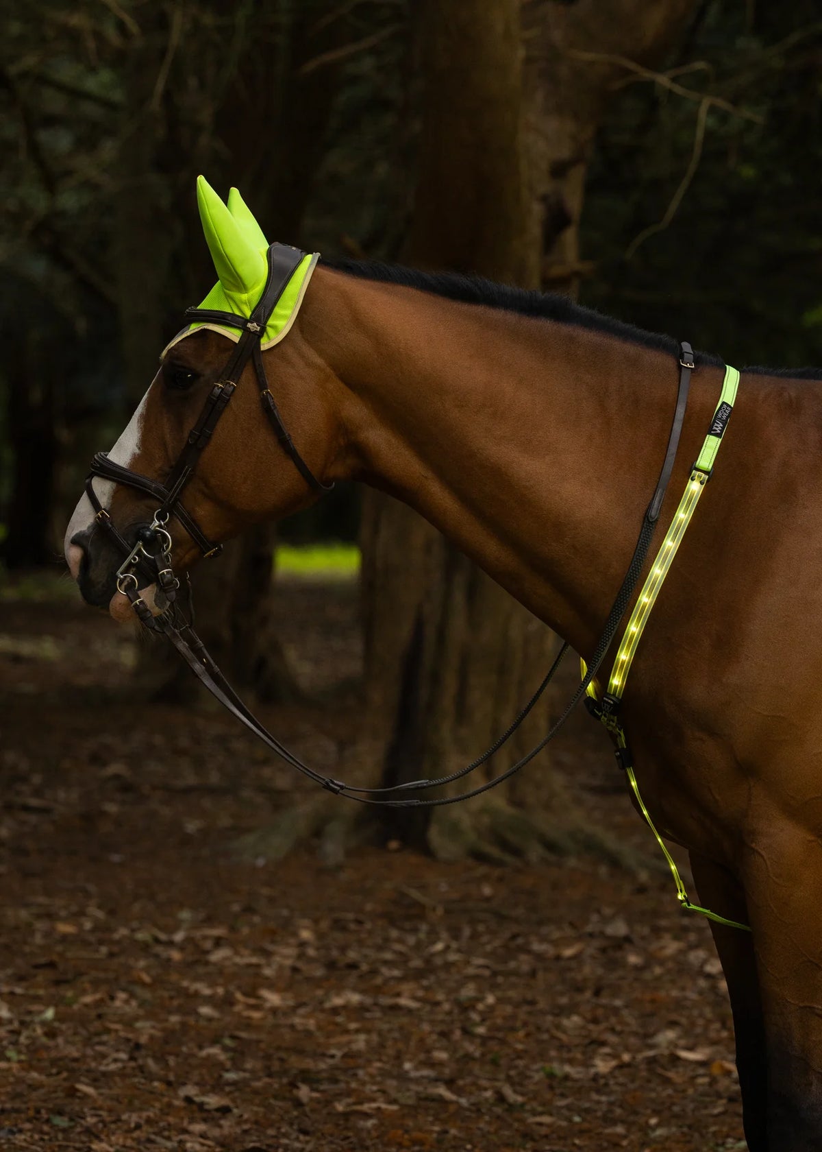 Woof Wear Noise Cancelling Hi Viz Fly Veil