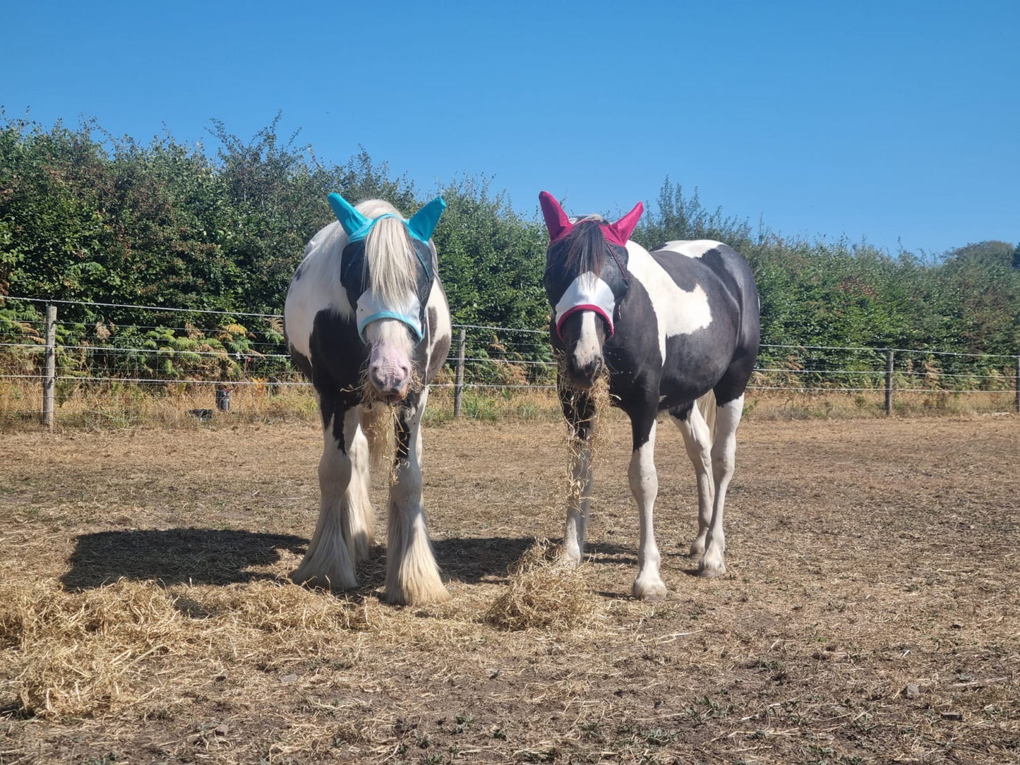 Sheldon Duro Fly Mask