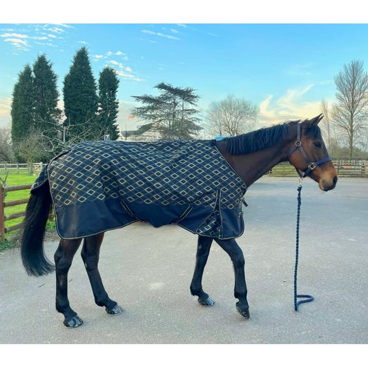 Sheldon 50g Black / Gold Turnout Rug