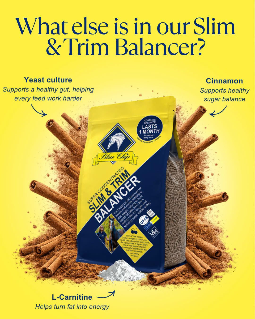 Blue Chip Super Concentrated Slim and Trim Feed Balancer