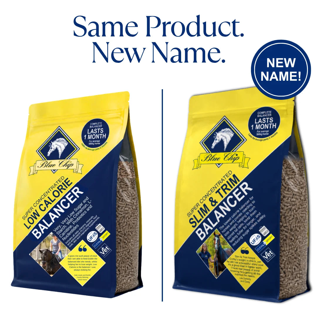 Blue Chip Super Concentrated Slim and Trim Feed Balancer