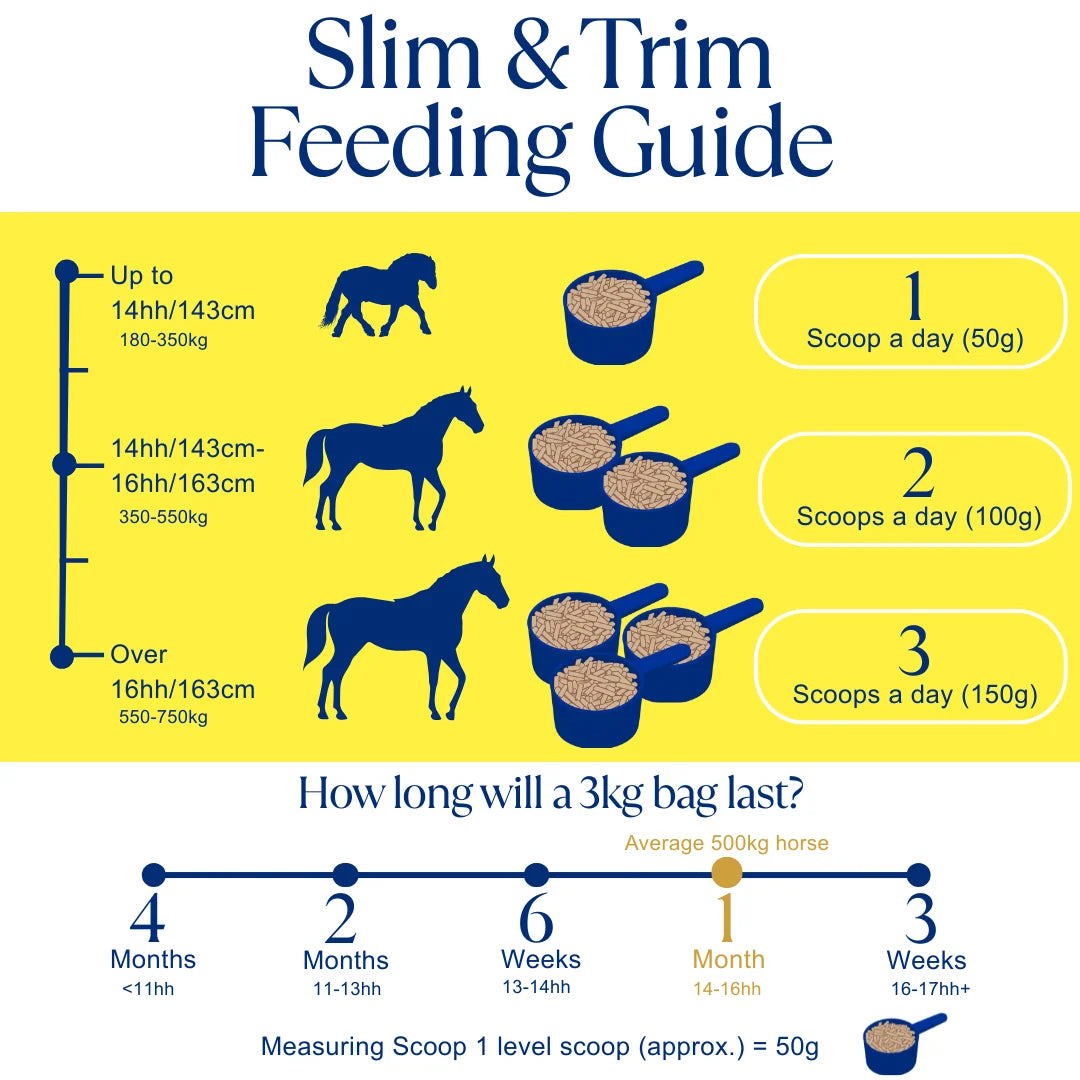Blue Chip Super Concentrated Slim and Trim Feed Balancer
