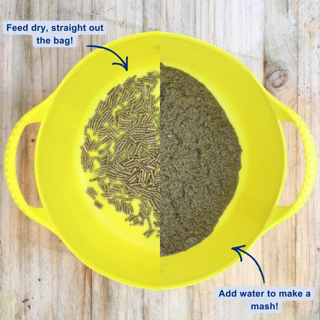 Blue Chip Super Concentrated Slim and Trim Feed Balancer