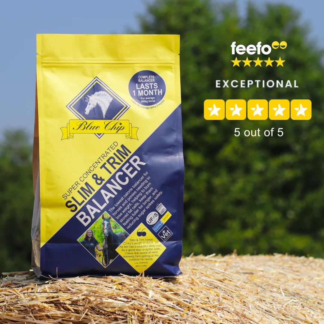 Blue Chip Super Concentrated Slim and Trim Feed Balancer