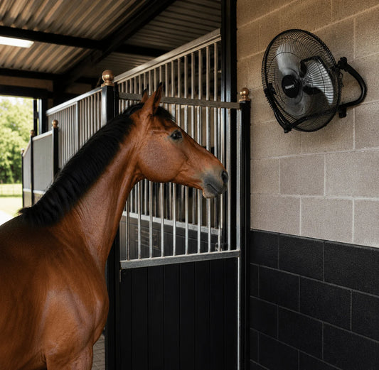 Equisafety IP55 Stable Fan - Small - Top Of The Clops